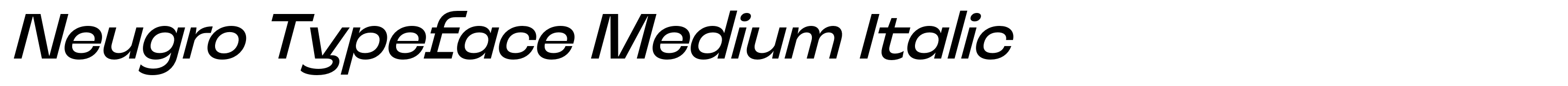 Neugro Typeface Medium Italic